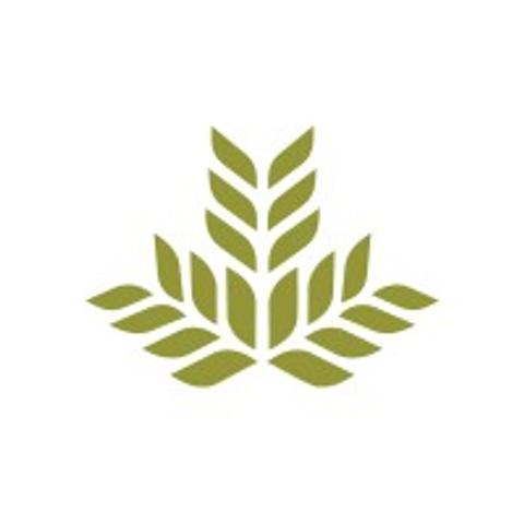 Northeast Georgia Health System logo