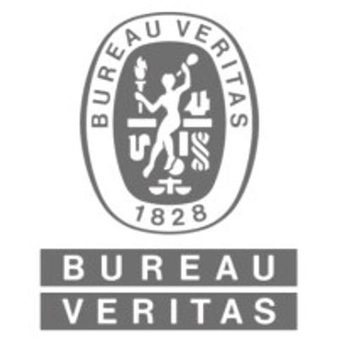 Bureau Veritas logo