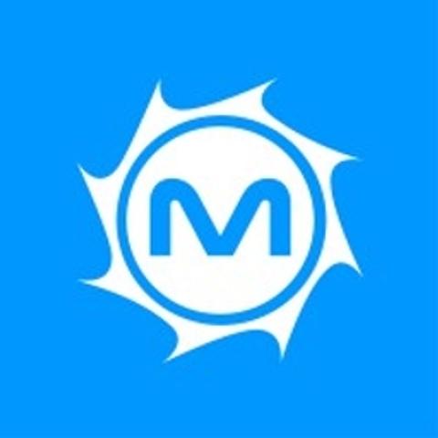 MetroStar logo