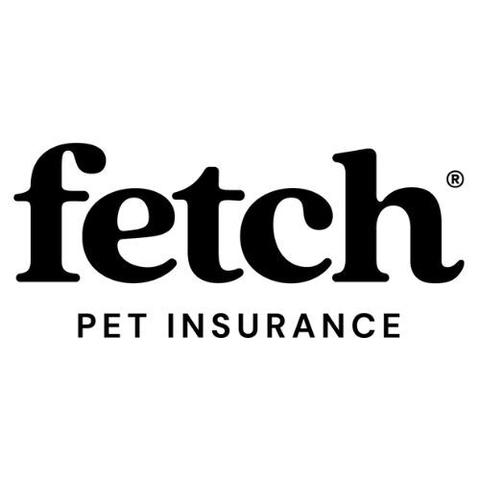 Fetch logo