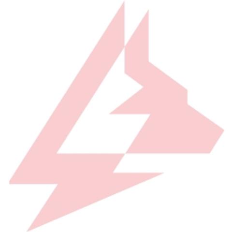 AMAROK logo