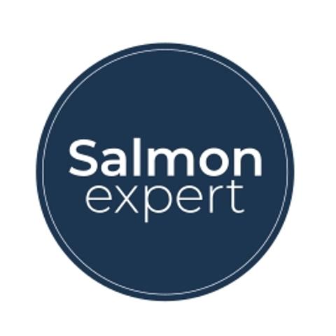 Salmonjobs logo