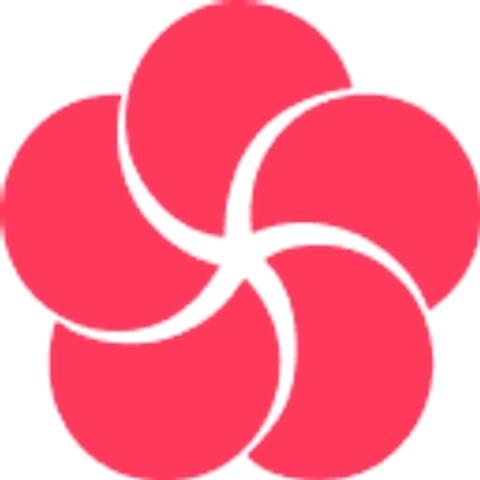 Blossom Health logo