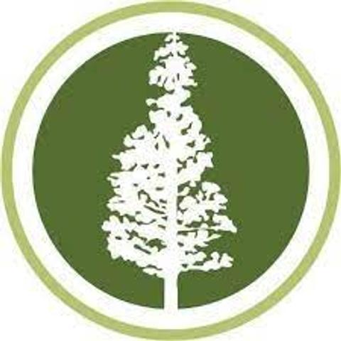 City of Palo Alto logo