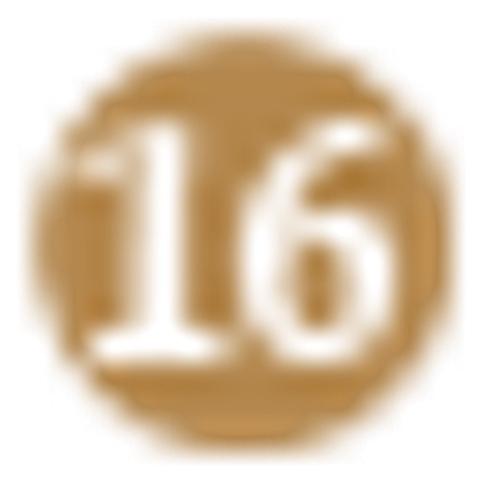 16th JUDICIAL CIRCUIT of MISSOURI logo