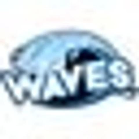 Waves Express Car Wash logo