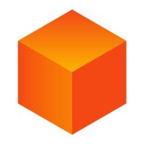 Prosek Partners logo