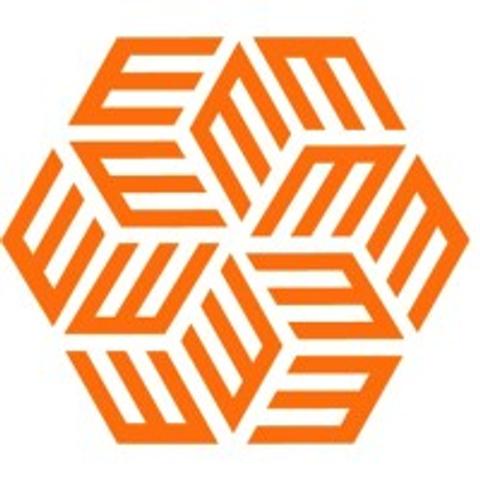 EVERSANA logo