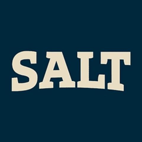 SALT Service logo