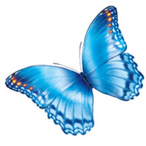 Nationwide Childrens Hospital logo