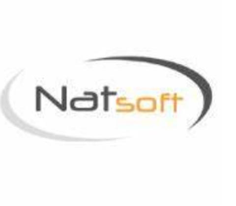 NatSoft logo
