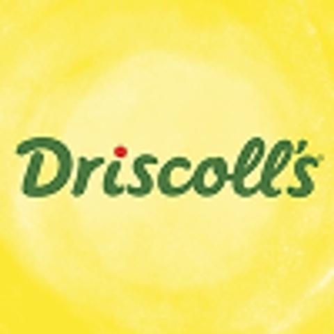 Driscoll’s logo