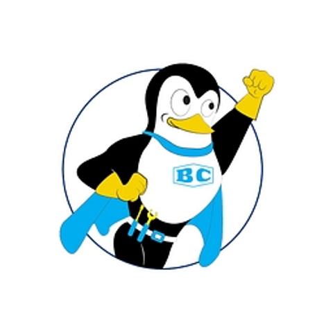Bruni and Campisi logo