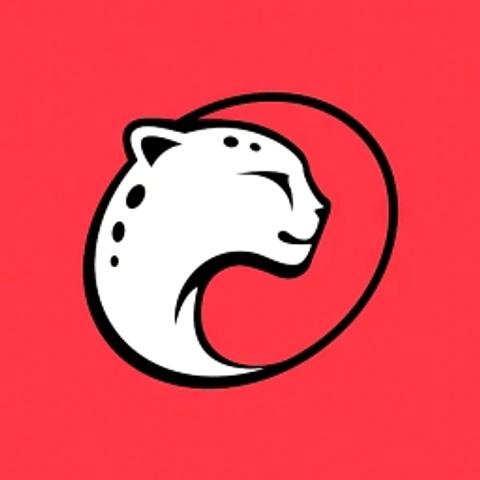 Playtika Ltd logo