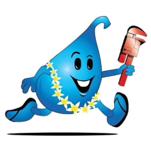 Steve's Plumbing Hawaii logo