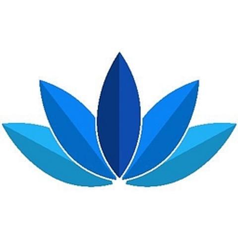 Bloom Consulting logo