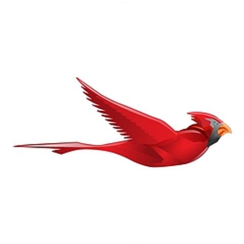 Cardinal Technology Systems logo